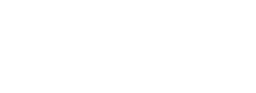 Vivix